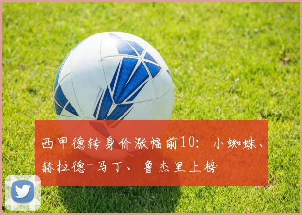 西甲德转身价涨幅前10：小蜘蛛、赫拉德-马丁、鲁杰里上榜